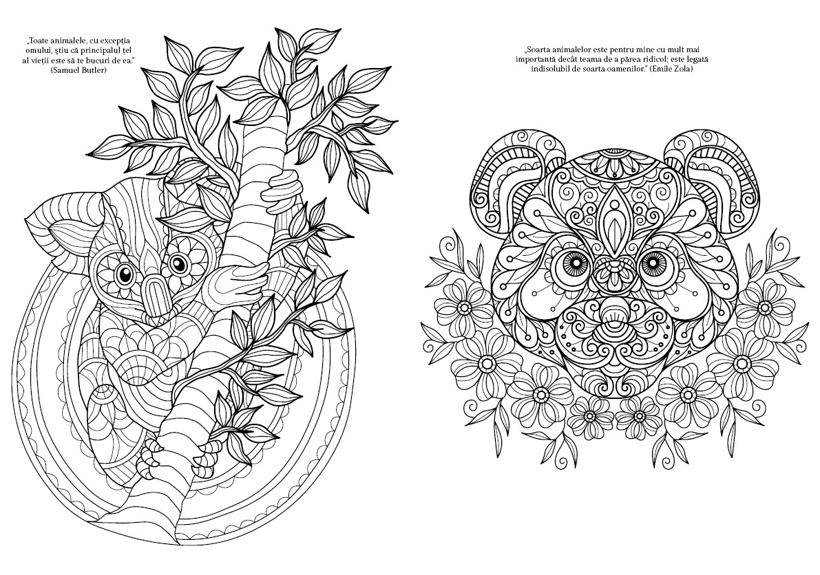 Animale culoare si magie - 4 | YEO