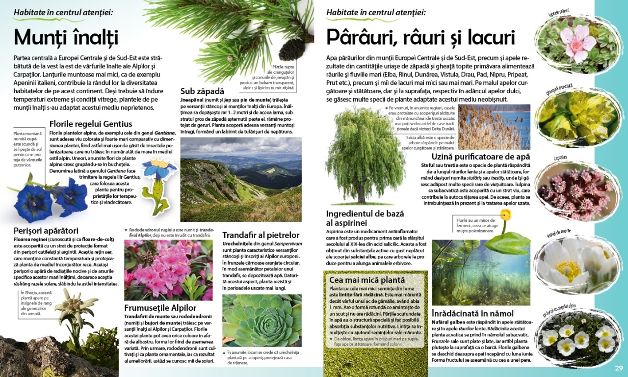 Calatorie in lumea plantelor - 2 | YEO