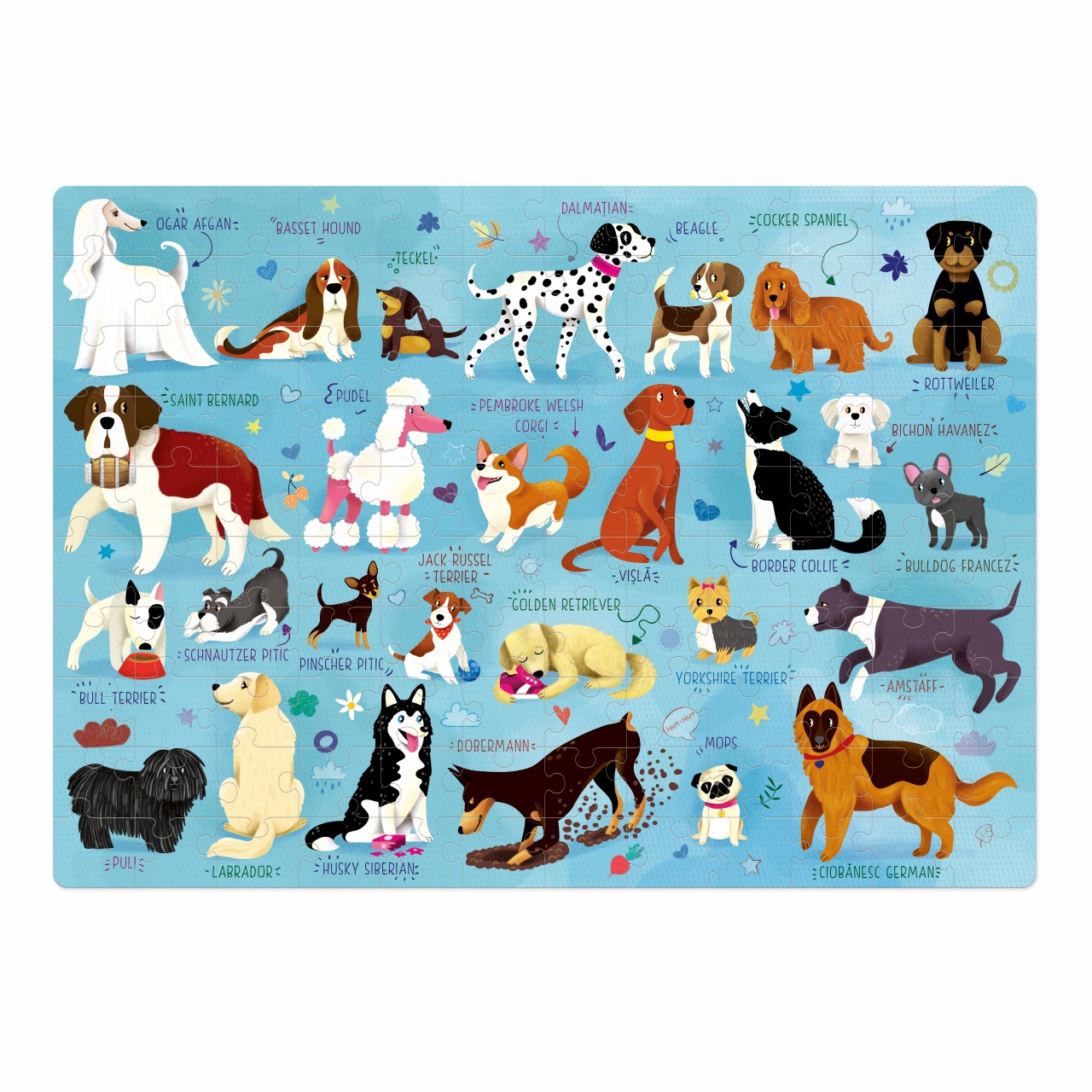 SET - Joc educativ - Puzzle Mimorello - Lumea Pisicilor, Lumea Cainilor - 2 | YEO