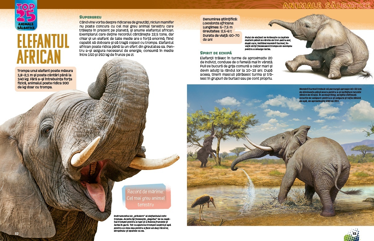 Top 25 Animale salbatice – Uriase 3D - 2 | YEO