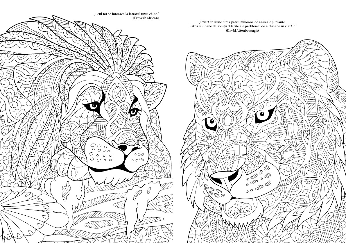 Animale culoare si magie - 1 | YEO