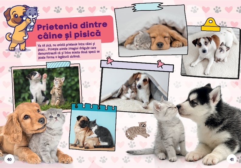 Cartea pisicutei mele - 5 | YEO