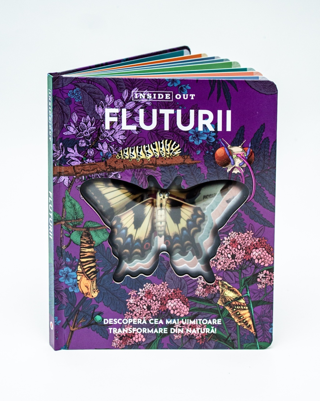 Fluturii – model 3D - 1 | YEO