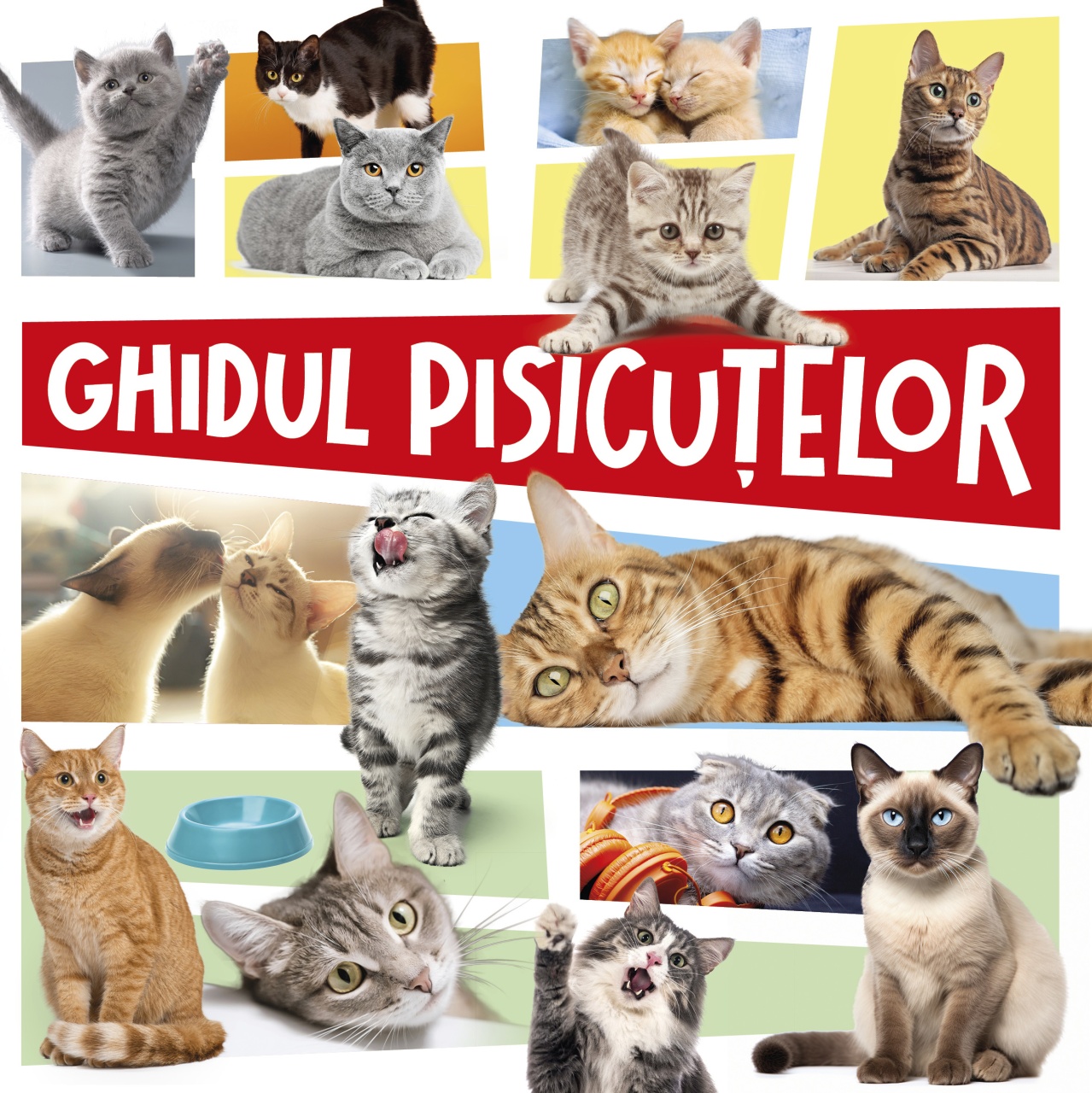 Ghidul pisicuțelor