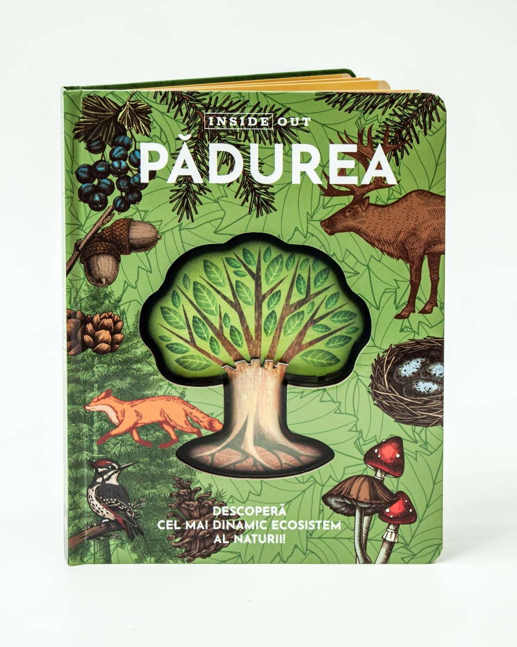 Padurea – model 3D - 1 | YEO