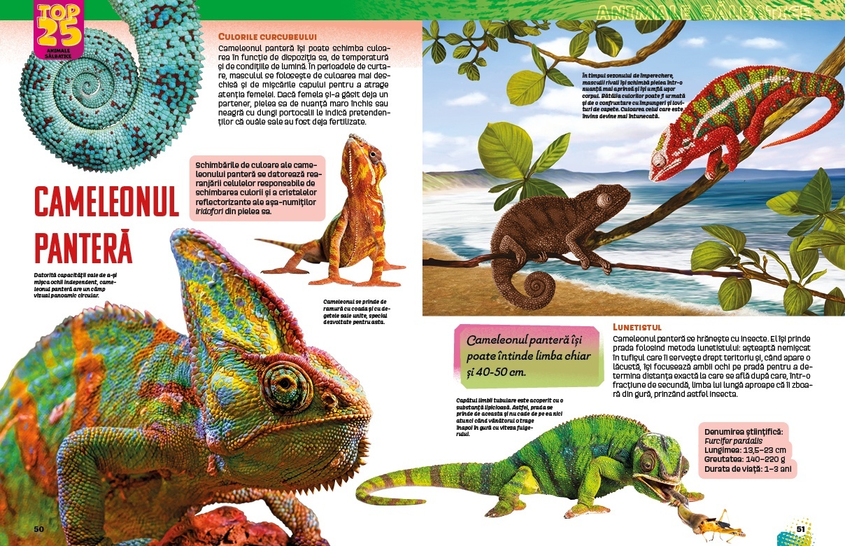 Top 25 Animale salbatice – Spectaculoase 3D - 3 | YEO