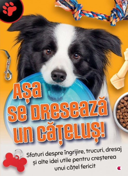 Asa se dreseaza un catelus!