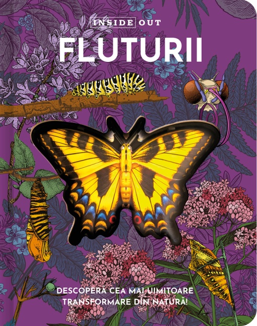 Fluturii – model 3D