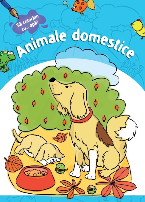 Animale domestice - Sa coloram cu apa!