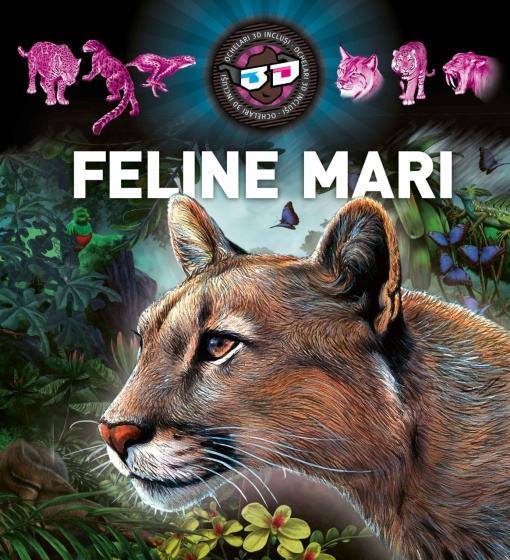 Feline mari 3D