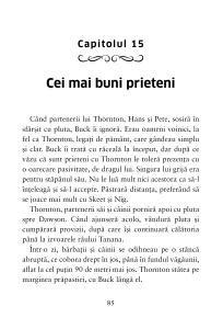 Chemarea străbunilor + jurnal de lectură - Img 2