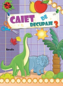Caiet de decupaje 3
