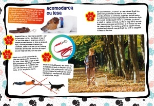 Asa se dreseaza un catelus! - Img 4