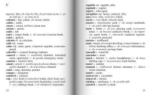 Dicționar roman – englez - Img 4