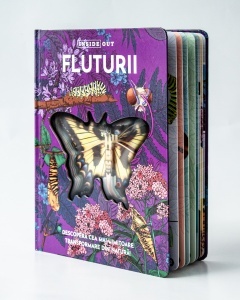 Fluturii – model 3D - Img 3