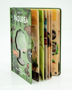 Padurea – model 3D - Img 3