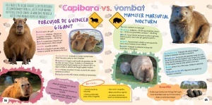 Capibara - cel mai dragut animal din lume - Img 4