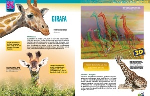 Top 25 Animale salbatice – Uriase 3D - Img 5