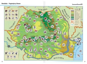 Pachet - Puzzle Mimorello - Harta lumii - Atlas geografic scolar GRATUIT - Img 6