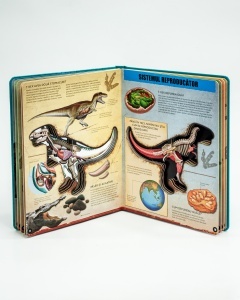 T-REX – model 3D - Img 4