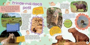 Capibara - cel mai dragut animal din lume - Img 5