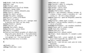 Dictionar englez – roman - Img 4