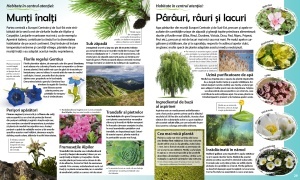 Calatorie in lumea plantelor - Img 3
