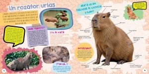 Capibara - cel mai dragut animal din lume - Img 2