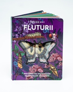 Fluturii – model 3D - Img 2