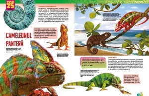 Top 25 Animale salbatice – Spectaculoase 3D - Img 4
