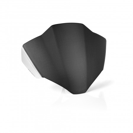 Headlight fairing with Mounting kit