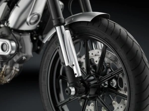Fork tube guard