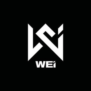 Wei Wei Fashion