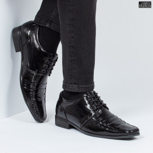 pantofi barbati eleganti