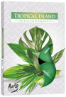 Lumânare pastilă Tropical Island P15-274