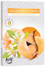 Lumânare pastila - Floare de mandarin P15-203