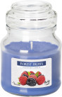 Lumanare pahar parfumat SND71-13 Fructe de padure