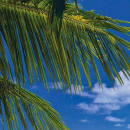 Fototapet peisagistic Komar PR 8-921 - Img 2