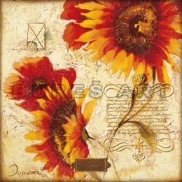 Poster Colaj cu floarea soarelui II