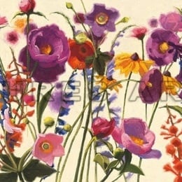 Poster floral ''Flori de camp''