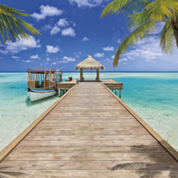 Fototapet peisagistic Komar PR 8-921