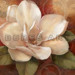 Poster floral Trandafir alb diafan