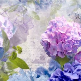 Fototapet floral Otaksa