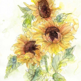 Fototapet vlies Floarea soarelui pictata