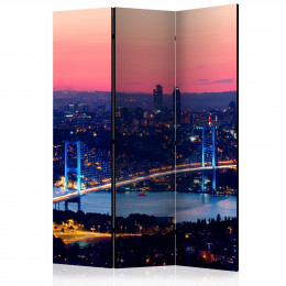 Paravan - Bosphorus Bridge [Room Dividers]
