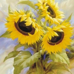 Poster Floarea soarelui , 60x80 cm
