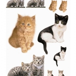 Sticker de copii "Kitty"