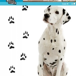 Sticker decorativ "Dalmatieni"