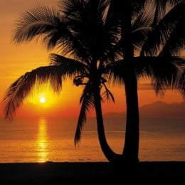 Fototapet cu peisaj exotic Rasarit de soare la mare