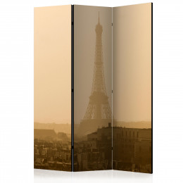 Paravan - Paris at Dawn [Room Dividers]